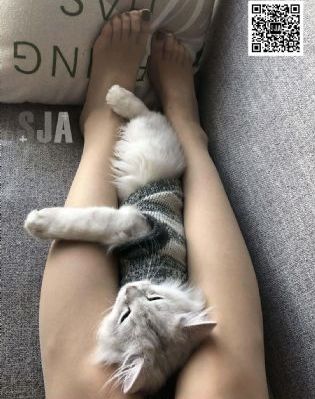 总裁夫人来自农村完整版免费观看_国产剧最新电影在线观看