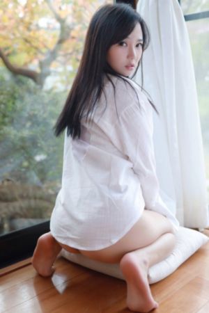 《扫黑·决不放弃》免费观看_国产剧动漫免费观看