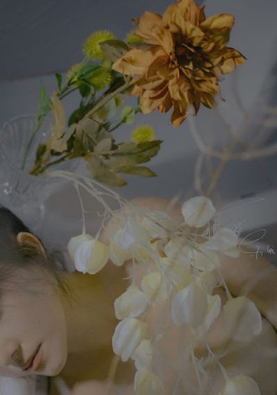 武神主宰策驰影院在线播放视频_电影在线观看免费