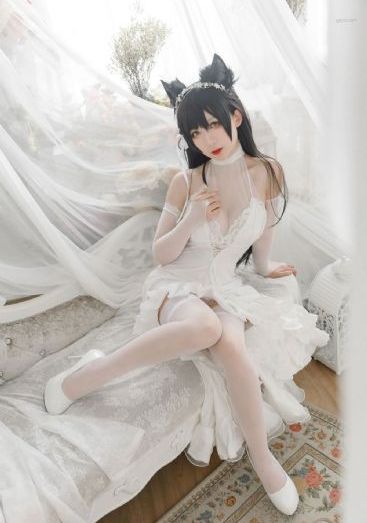 从赘婿到女帝宠臣_BD国语高清免费观看