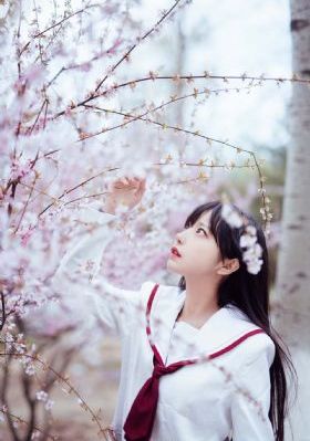 无上神帝在线观看_国产剧电影在线看